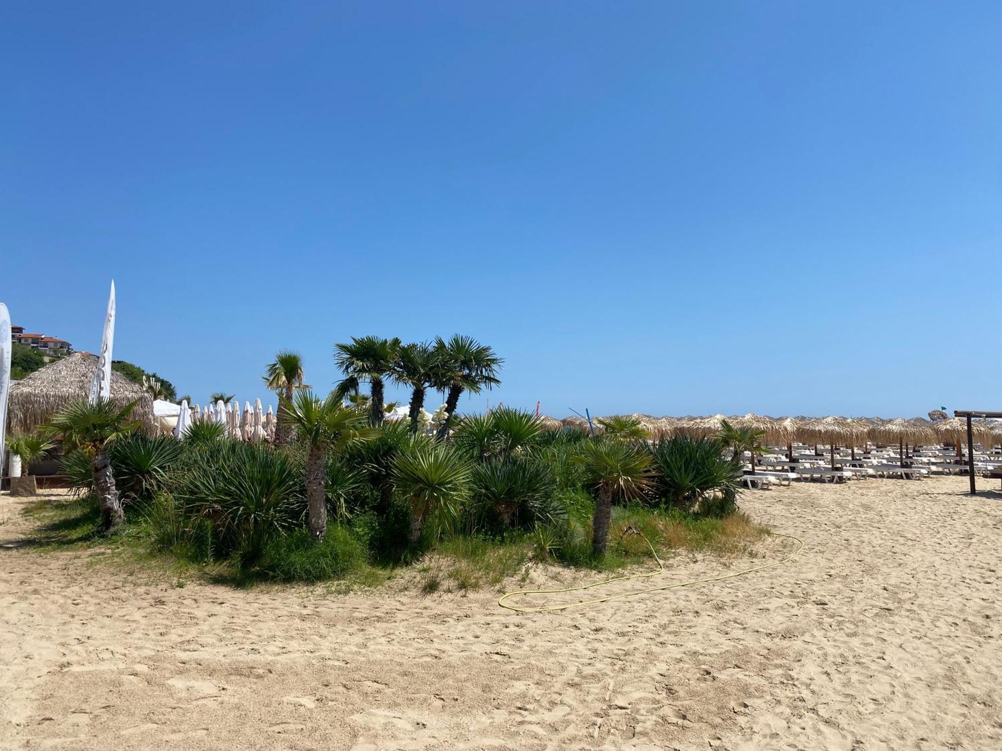 Horizon 10 'В' Apartment Sveti Vlas Exteriör bild